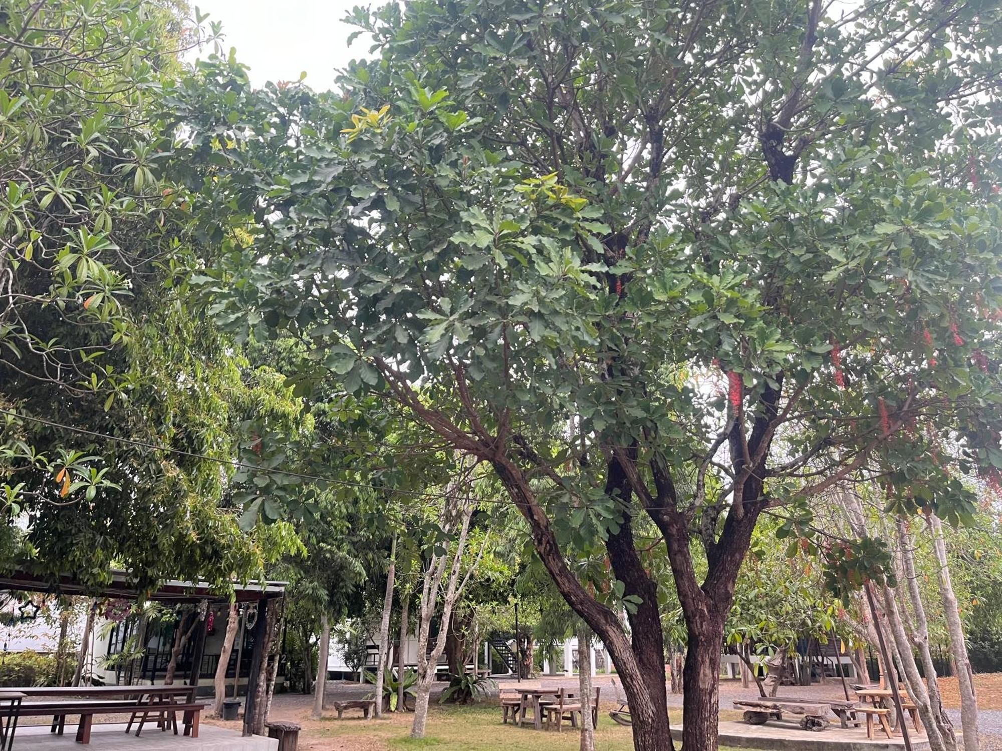Sangkaset Resort Ban Mong Muang Exterior foto
