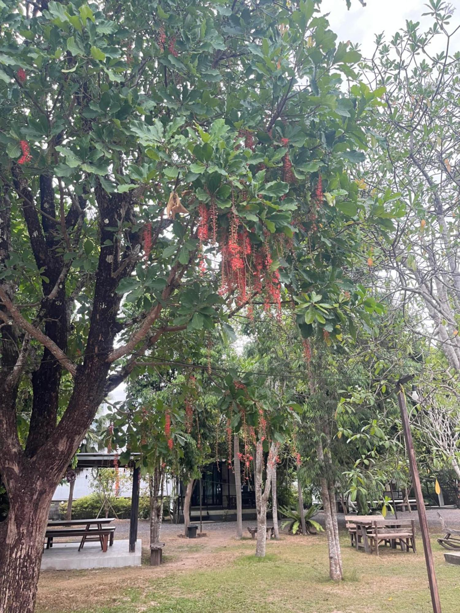 Sangkaset Resort Ban Mong Muang Exterior foto
